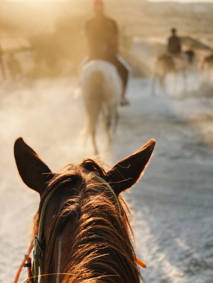 Experience the tranquility of horseback riding on a dusty path at sunset in Turkey.