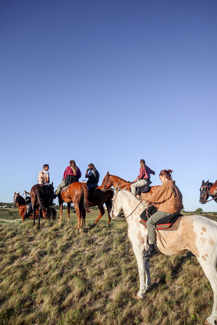 Group of people on horseback riding through the scenic landscapes of Mar del Plata, Argentina.