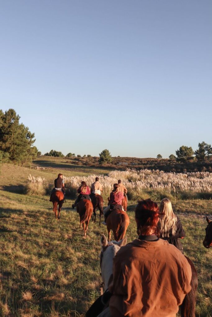 Group horseback riding in the scenic countryside of Mar del Plata under a clear blue sky.
