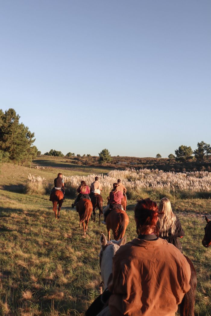 Group horseback riding in the scenic countryside of Mar del Plata under a clear blue sky.