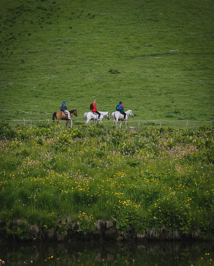 Three people horseback riding through a lush green meadow filled with wildflowers.