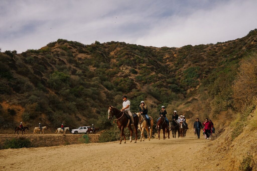 A group of people horseback riding on a canyon trail surrounded by lush hills.