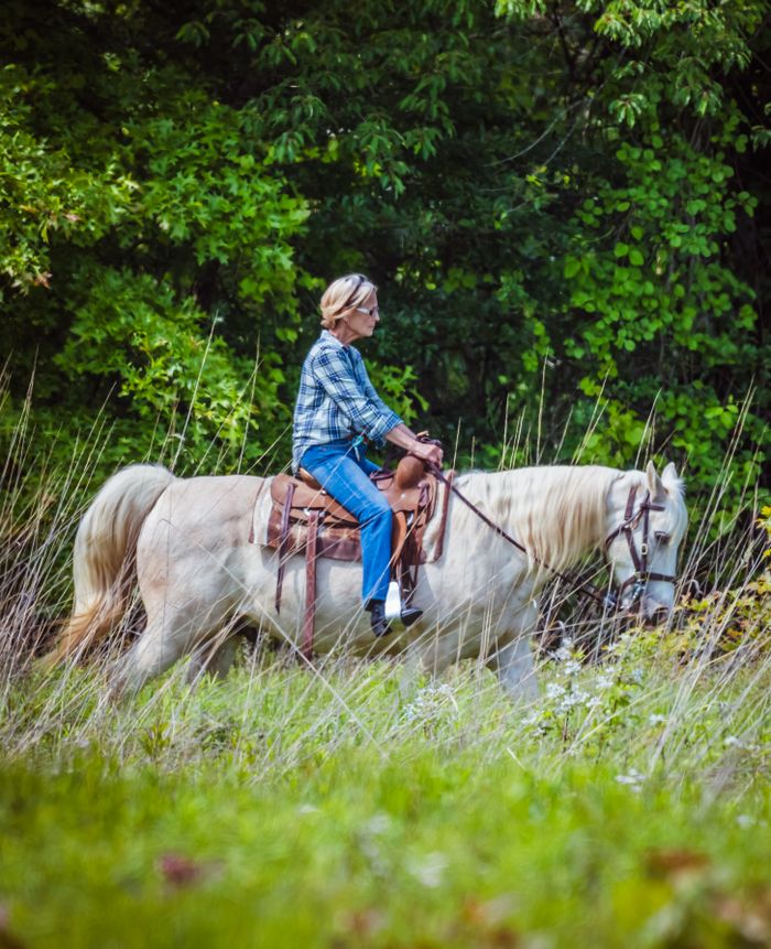 An adult woman rides a white horse through a vibrant green field, surrounded by trees.