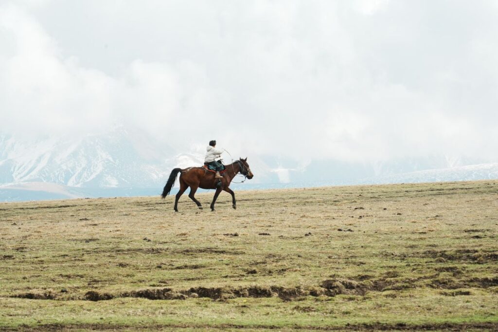 A lone rider on horseback traverses a vast field beneath cloudy skies.